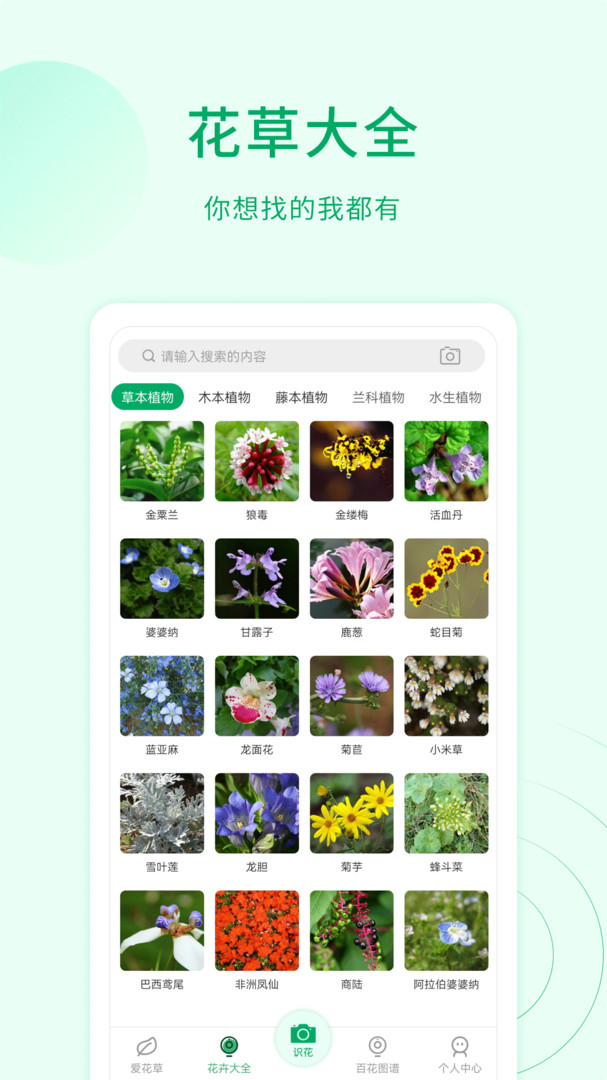 花草识别扫一扫app