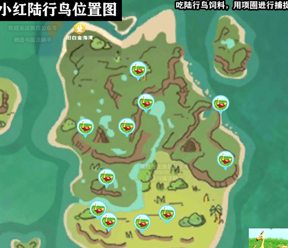 创造与魔法小红陆行鸟在哪创造与魔法小红陆行鸟位置大全一览