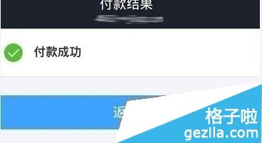 输入支付宝的支付密码完成付款