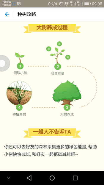 支付宝蚂蚁森林在哪里 支付宝蚂蚁森林介绍