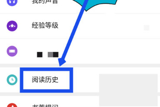 选择并点击“阅读历史”选项