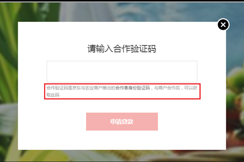 京农贷“输入合作验证码”界面