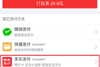 京东支付界面