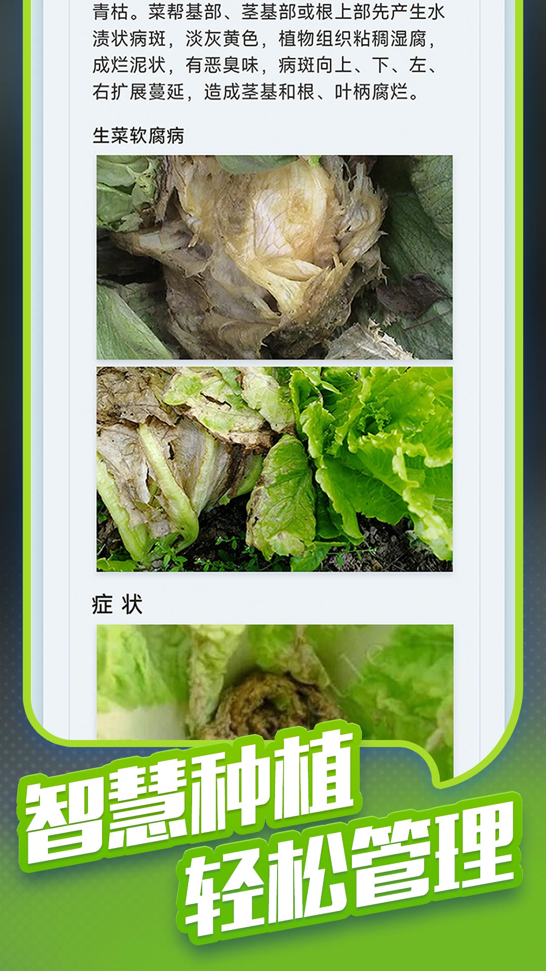 种菜专业户app