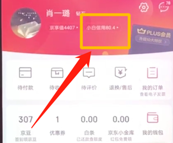 京东中提升小白信用的具体操作步骤