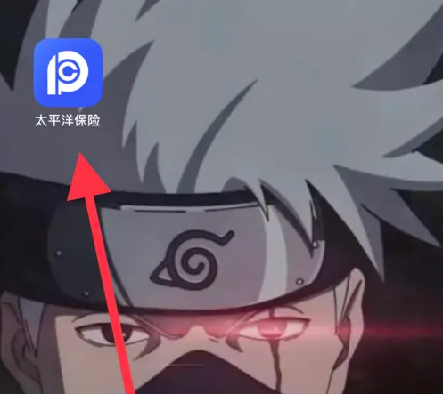 太平洋车险app报价流程是什么 太平洋保险车险报价方法