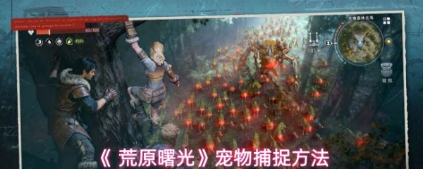 荒原曙光怎么抓宠物 荒原曙光宠物捕捉方法