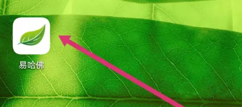 易哈佛app如何查看小组 易哈佛APP查看我的小组方法