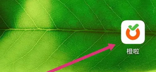 橙啦app如何学习英语 橙啦APP学习英语方法